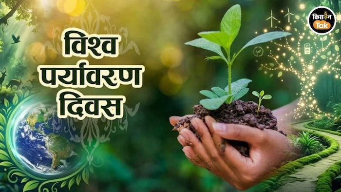 विश्व पर्यावरण दिवस (AI- तस्वीर)