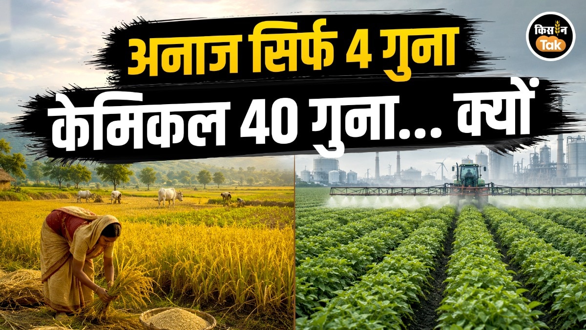 chemical fertilizer use