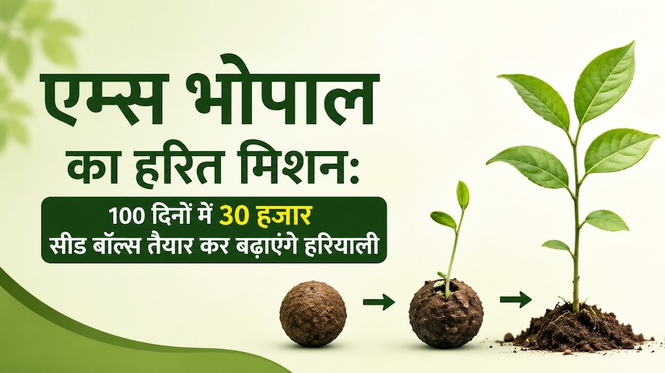 एम्स भोपाल का हरित मिशन: 100 दिनों में 30 हजार सीड बॉल्स तैयार कर बढ़ाएंगे हरियाली एम्स भोपाल का हरित मिशन: 100 दिनों में 30 हजार सीड बॉल्स तैयार कर बढ़ाएंगे हरियाली