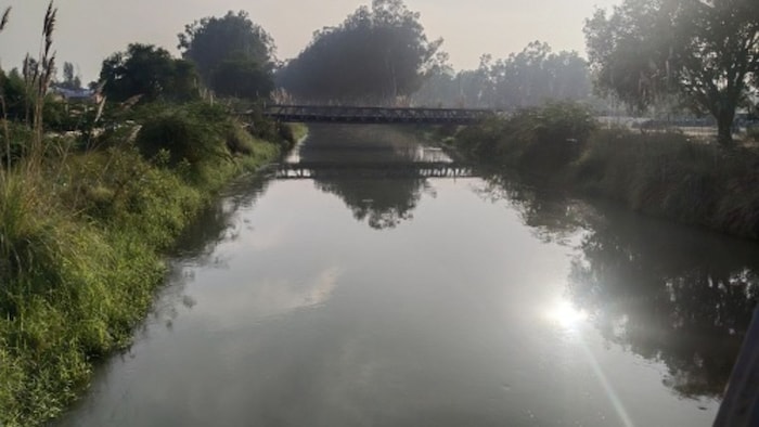 भालौठ सब ब्रांच नहर विवाद