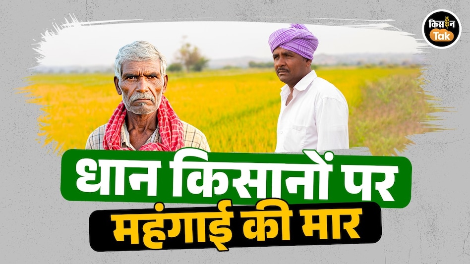 धान किसानों पर महंगाई की मार: डीजल-खाद महंगे, प्रति हेक्टेयर 1,500 रुपये तक बढ़ेगी लागत धान किसानों पर महंगाई की मार: डीजल-खाद महंगे, प्रति हेक्टेयर 1,500 रुपये तक बढ़ेगी लागत