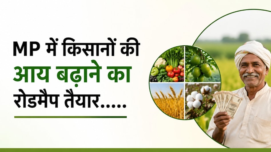 एमपी में किसानों की आय बढ़ाने का रोडमैप तैयार, कृषि नवाचार को मिलेगा बढ़ावा, अधिक कमाई वाली फसलों की ओर बढ़ें किसान: अशोक बर्णवाल एमपी में किसानों की आय बढ़ाने का रोडमैप तैयार, कृषि नवाचार को मिलेगा बढ़ावा, अधिक कमाई वाली फसलों की ओर बढ़ें किसान: अशोक बर्णवाल