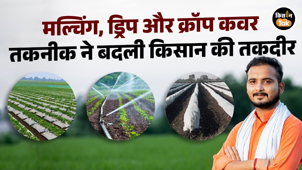 आधुनिक तकनीक से तरबूज की खेती बनी कमाई का जरिया, 2 बीघा से 8 लाख रुपये की हुई आय 