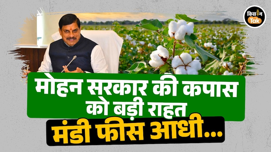 मोहन कैबिनेट की बड़ी सौगात: कपास मंडी फीस आधी, किसानों और विकास कार्यों पर खर्च होंगे 13,800 करोड़ मोहन कैबिनेट की बड़ी सौगात: कपास मंडी फीस आधी, किसानों और विकास कार्यों पर खर्च होंगे 13,800 करोड़