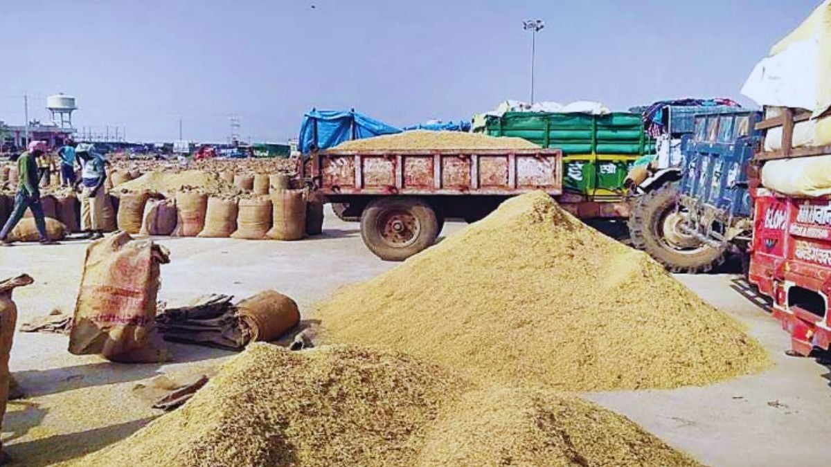 मंडी सिस्टम पर बड़ा सवाल