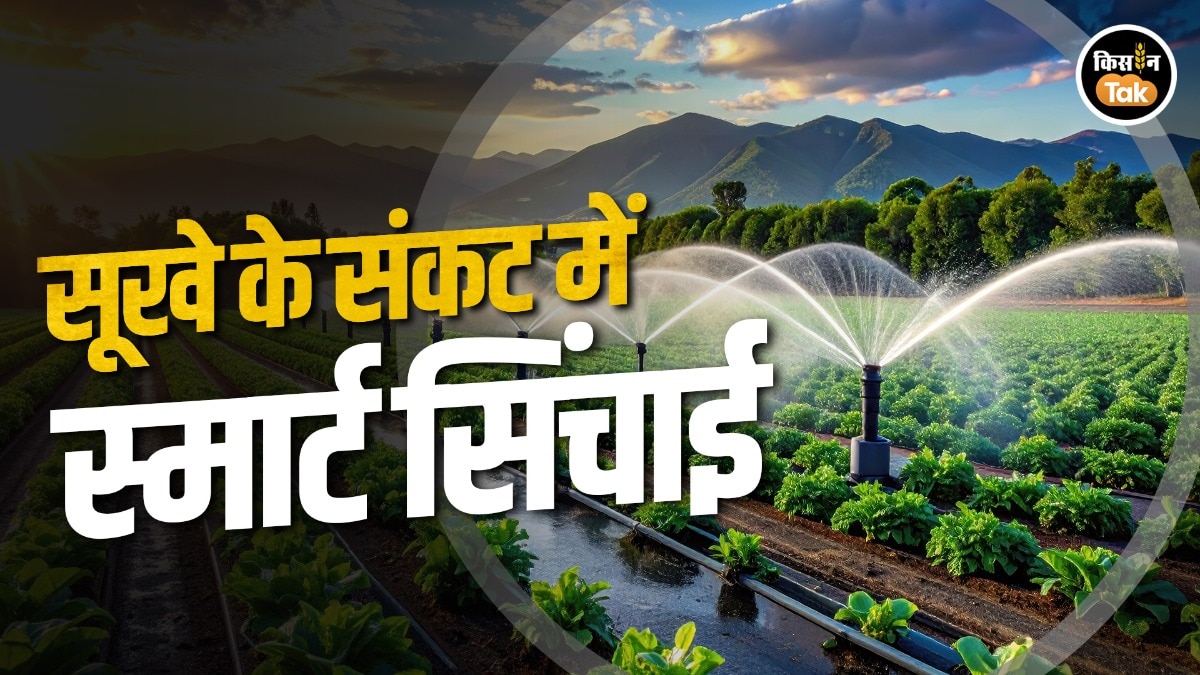 smart irrigation