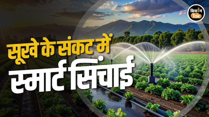 smart irrigation