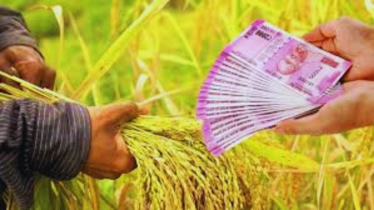महाराष्ट्र सरकार की नई कर्जमाफी योजना में 5 लाख छूटे किसान शामिल, प्याज के लिए भी उठी मांग