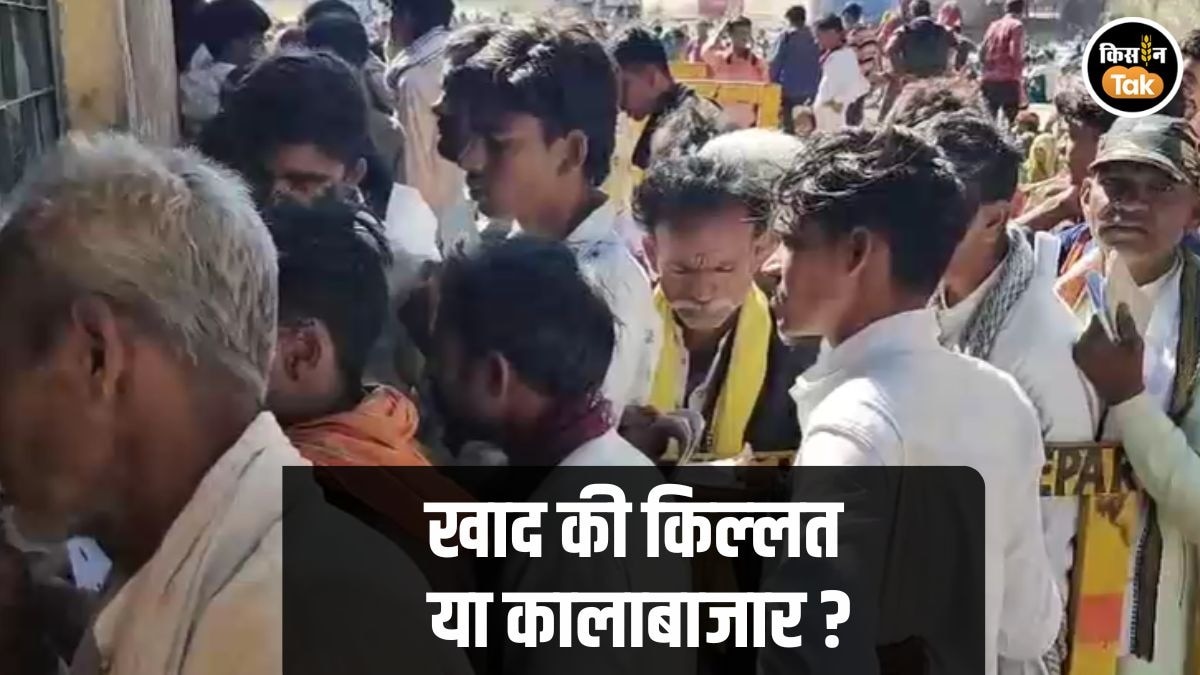 Ground Report: यूपी में खाद का संकट नहीं, फिर भी कई जिलों में कालाबाजारी से किसान परेशान