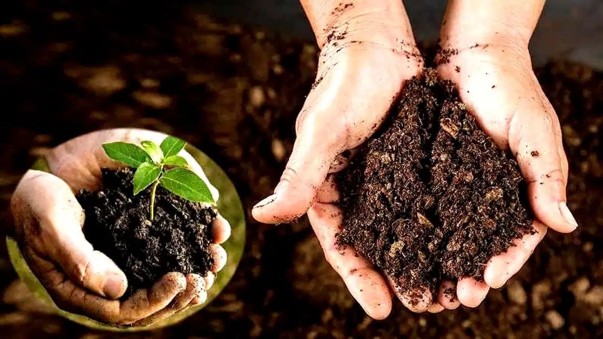 Indore compost making method