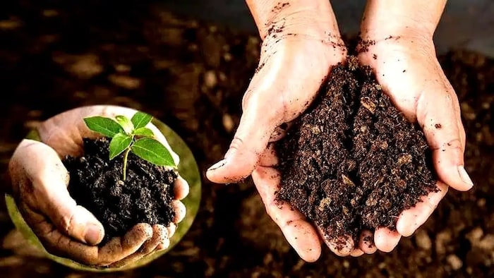 Indore compost making method