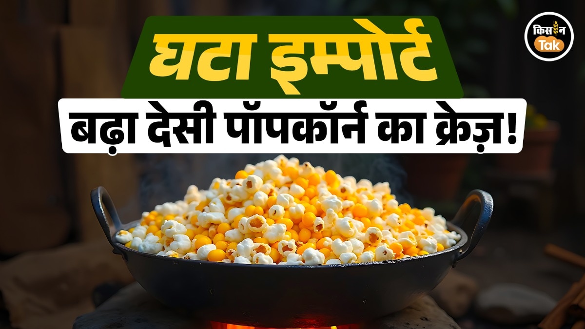 indian popcorn