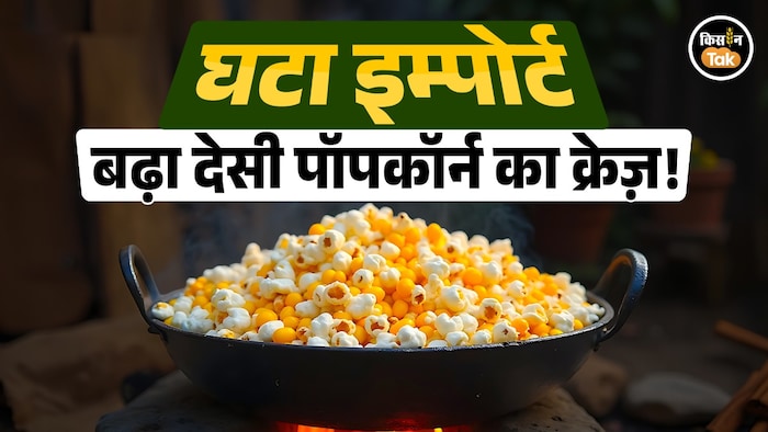 indian popcorn