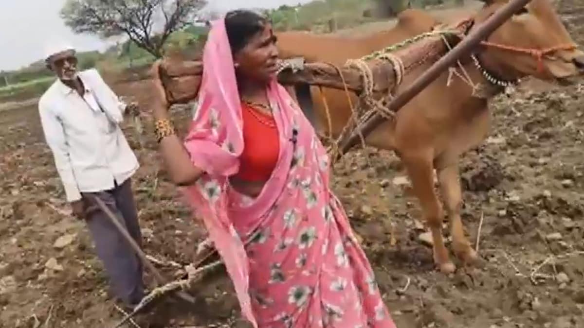 बैल नहीं रहा तो पत्नी बनी सहारा, हल में जोतकर खेत जोतता दिखा किसान