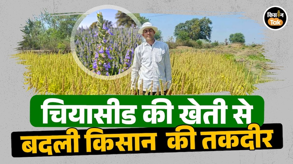 सिर्फ 15 हजार लगाकर कमाए 1.20 लाख! जानिए कैसे किसान रंजीत बघेल ने चिया सीड की खेती से किया कमाल सिर्फ 15 हजार लगाकर कमाए 1.20 लाख! जानिए कैसे किसान रंजीत बघेल ने चिया सीड की खेती से किया कमाल
