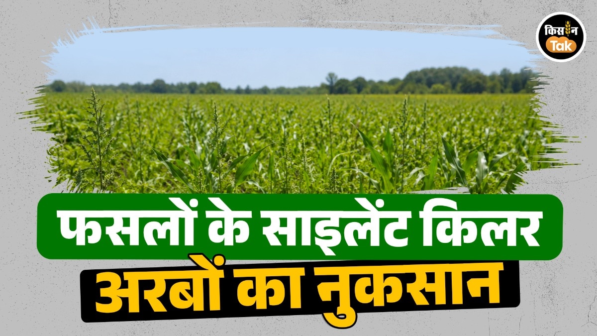 फसलों के दुश्मन खरपतवार