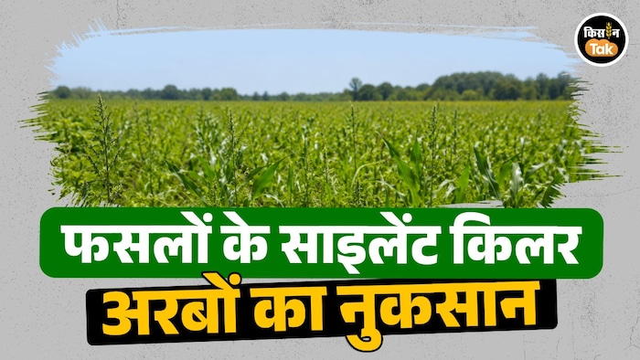 फसलों के दुश्मन खरपतवार