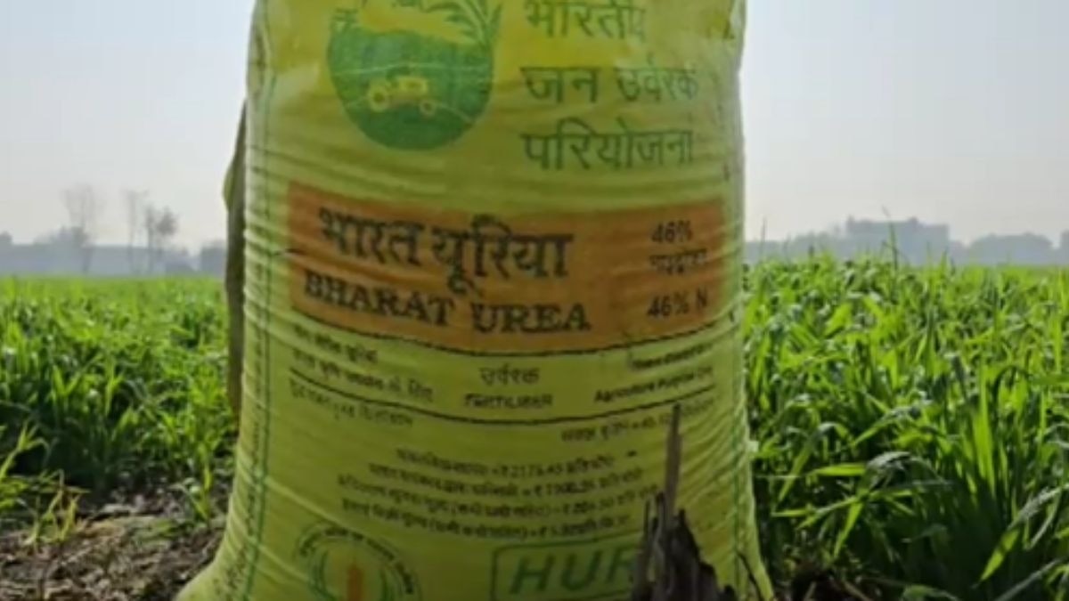 यूरिया किल्लत
