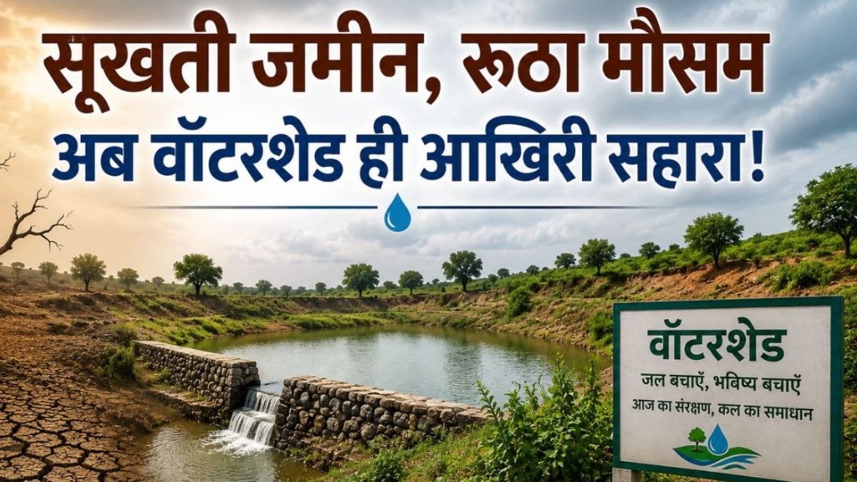वॉटरशेड मैनेजमेंट ( AI IMAGE)