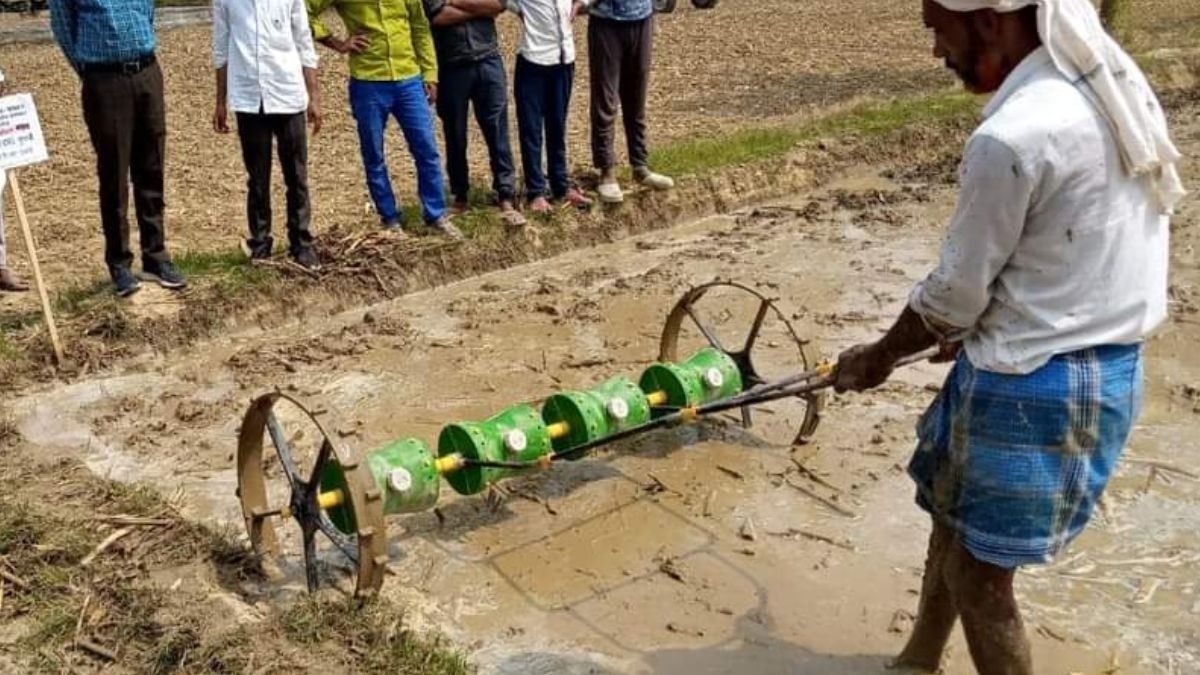 ड्रम सीडर से धान की सीधी बुआई