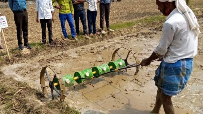 ड्रम सीडर से धान की सीधी बुआई