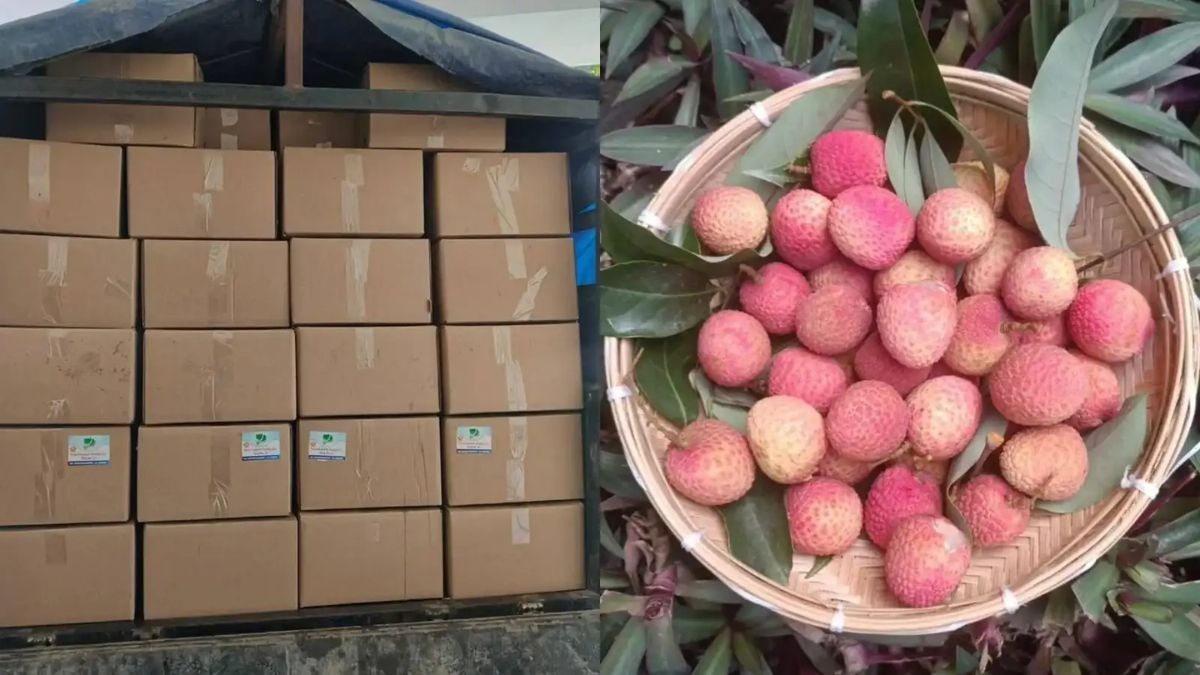तेजपुर लीची की विदेशों में बढ़ी मांग