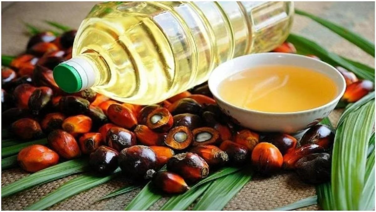 palm oil import increased in may