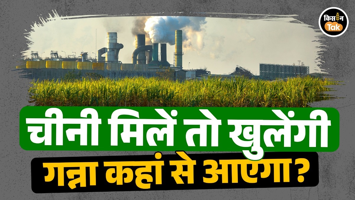 Bihar sugar mills