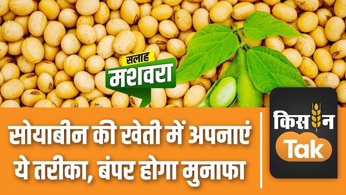 सोयाबीन की खेती से पहले जरूर करें ये काम