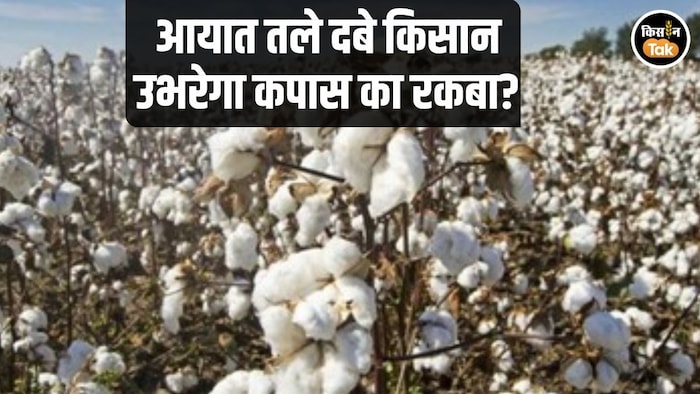 Cotton Sowing Area Decline