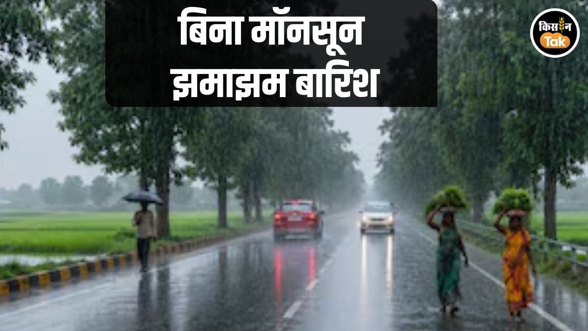 Western Disturbance Rain