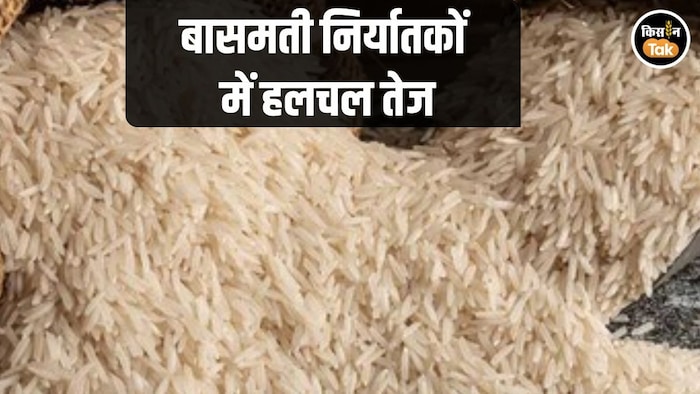 Basmati Export