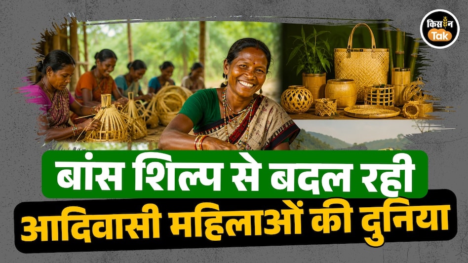 गांव की कला पहुंची शहरों के बाजार तक, बांस शिल्प से बदल रही एमपी के आदिवासी महिलाओं की दुनिया गांव की कला पहुंची शहरों के बाजार तक, बांस शिल्प से बदल रही एमपी के आदिवासी महिलाओं की दुनिया
