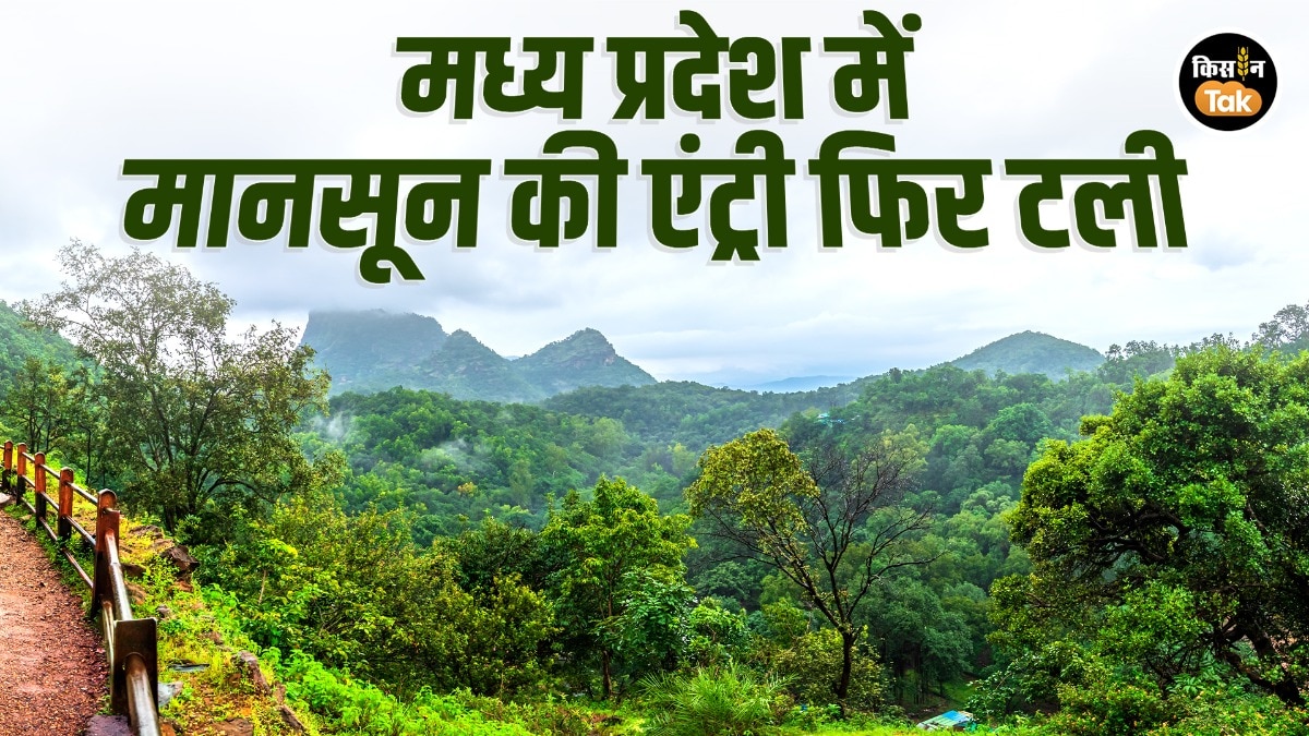 MP Monsoon Update: मध्य प्रदेश में मानसून की एंट्री फिर टली, अब 24-25 जून तक इंतजार; अल नीनो और कमजोर वेदर सिस्टम बने वजह MP Monsoon Update: मध्य प्रदेश में मानसून की एंट्री फिर टली, अब 24-25 जून तक इंतजार; अल नीनो और कमजोर वेदर सिस्टम बने वजह