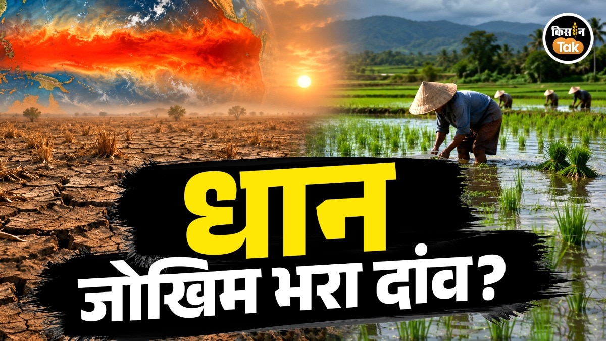 El Nino India farming