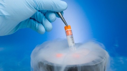 frozen semen case