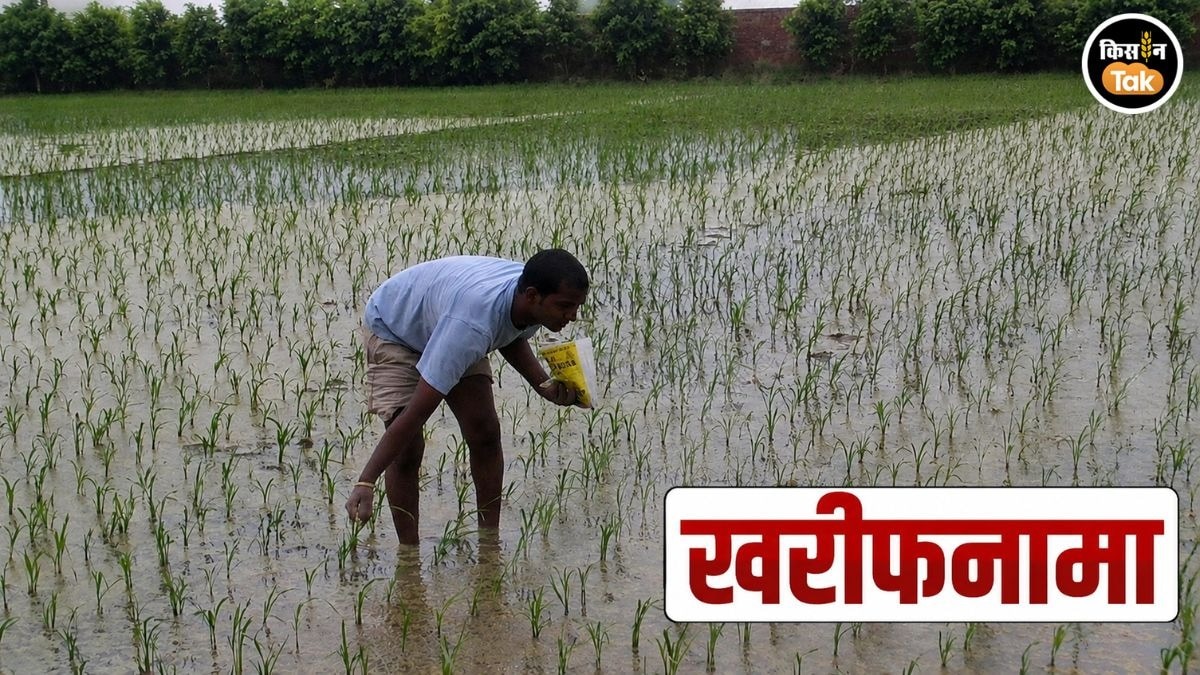 धान की खेती