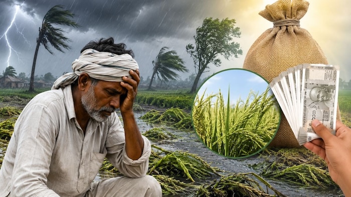 बर्बाद हुई फसलों के लिए मिलेगा मुआवजा