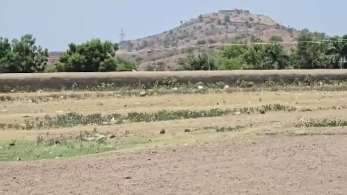 बीड में पानी को लेकर हाहाकार