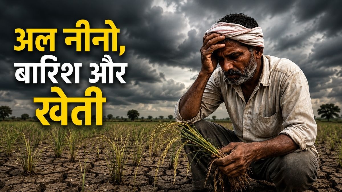 El Nino Rain Impact