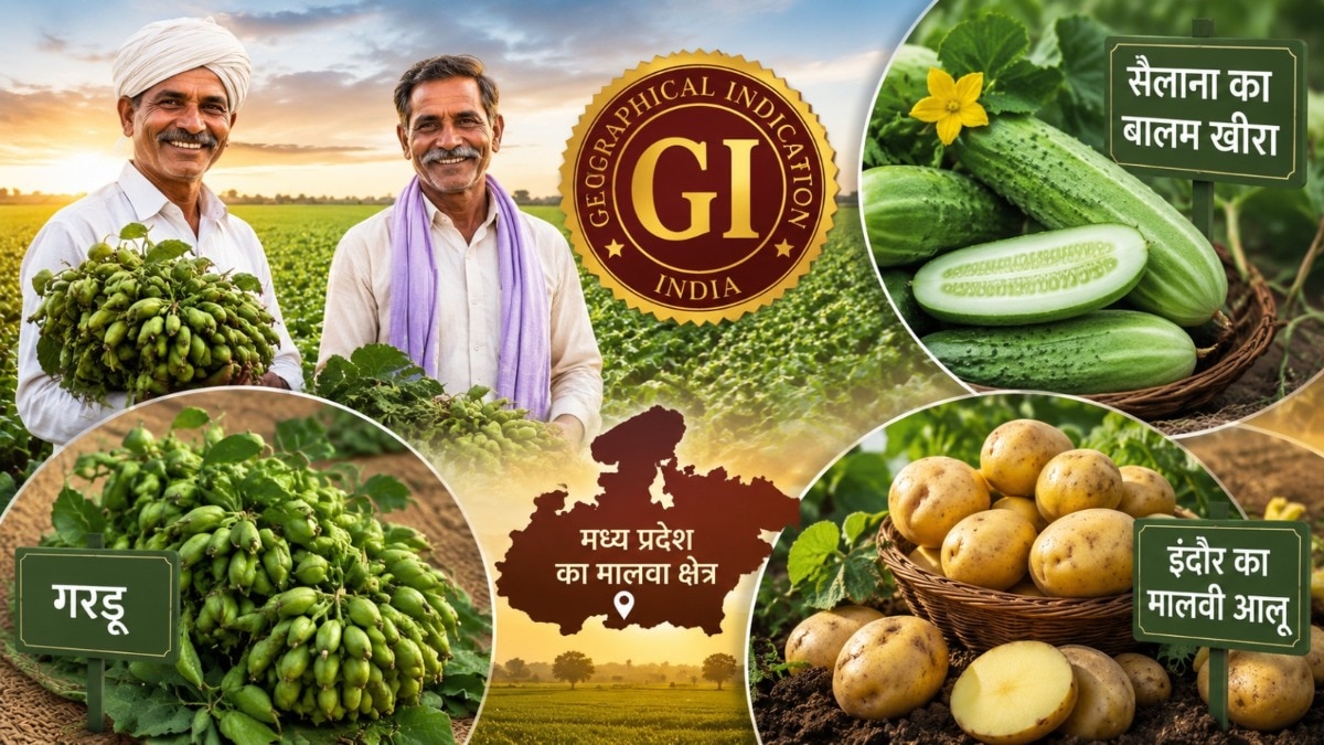 GI Tag Madhya Pradesh