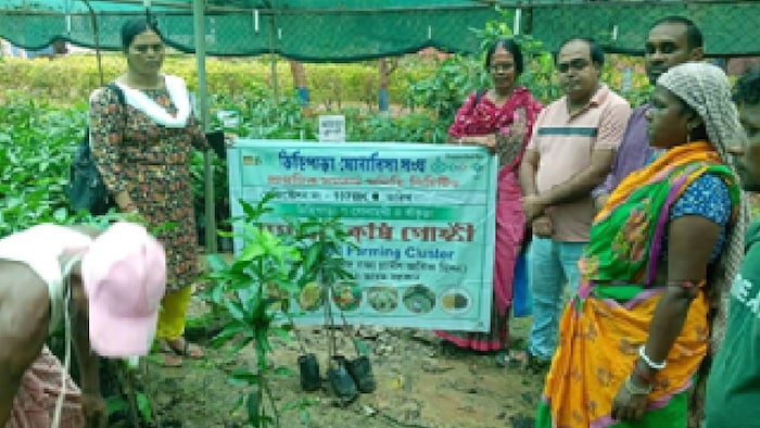Bankura farmer success story