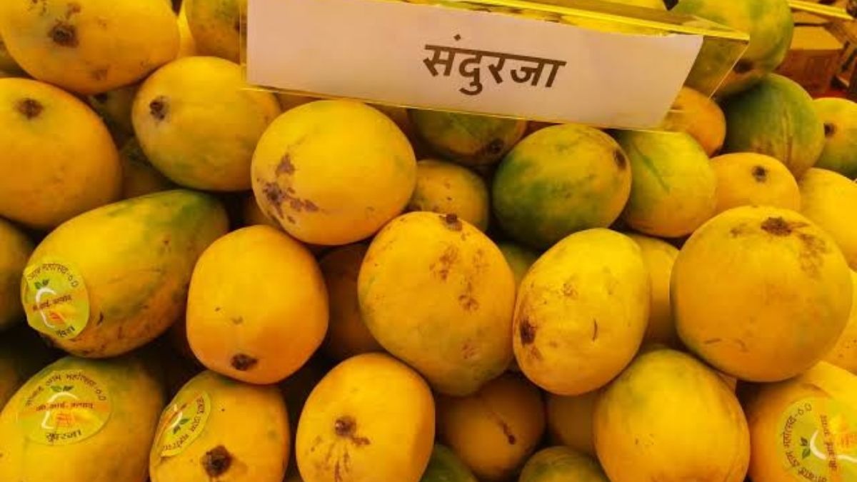 सुंदरजा आम