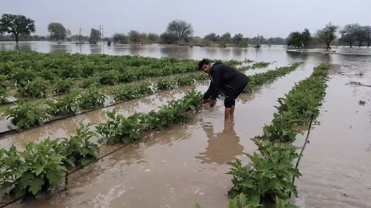 बाढ़ से फसल बर्बाद