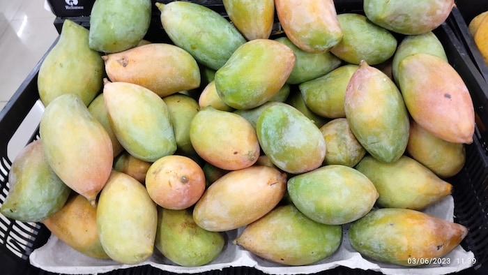 totapuri mangoes