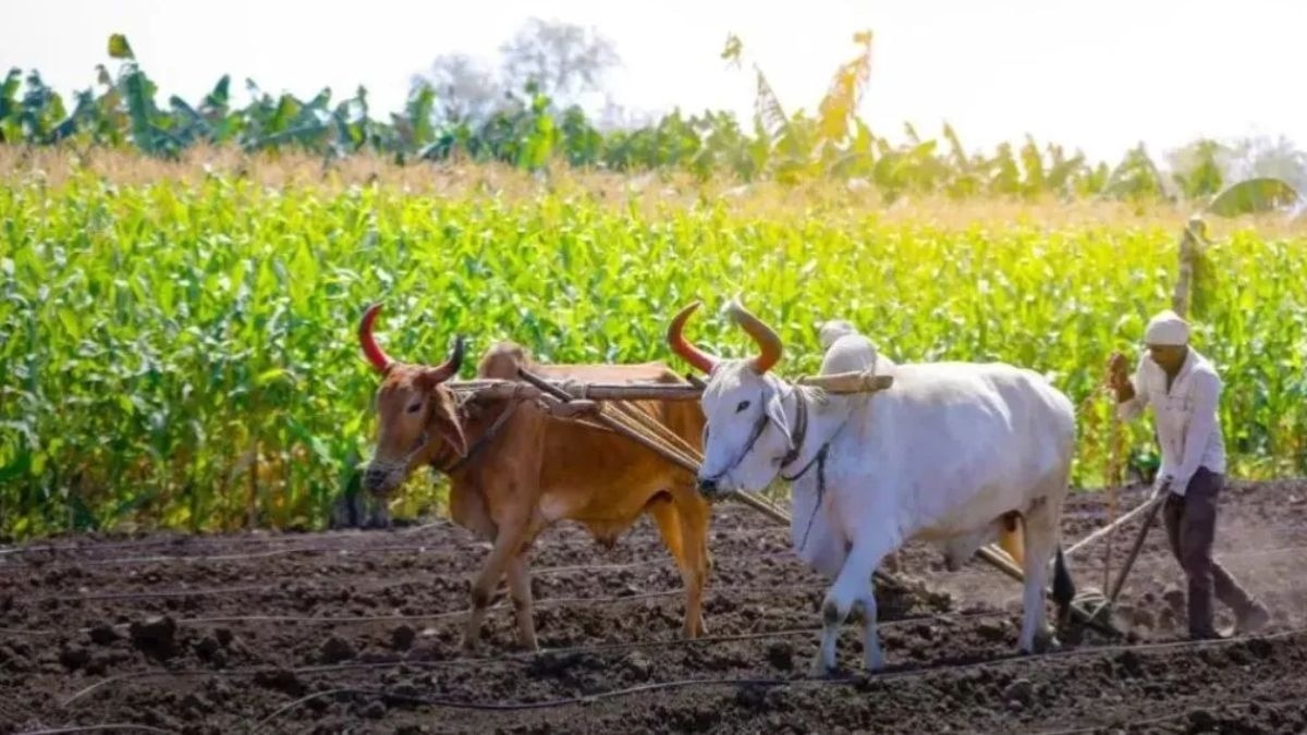 किसानों के शोषण पर लगेगी लगाम