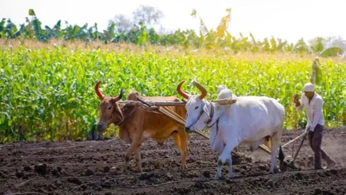 किसानों के शोषण पर लगेगी लगाम