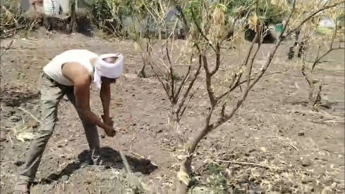 पानी की कमी ने तोड़ दिया किसान का सपना