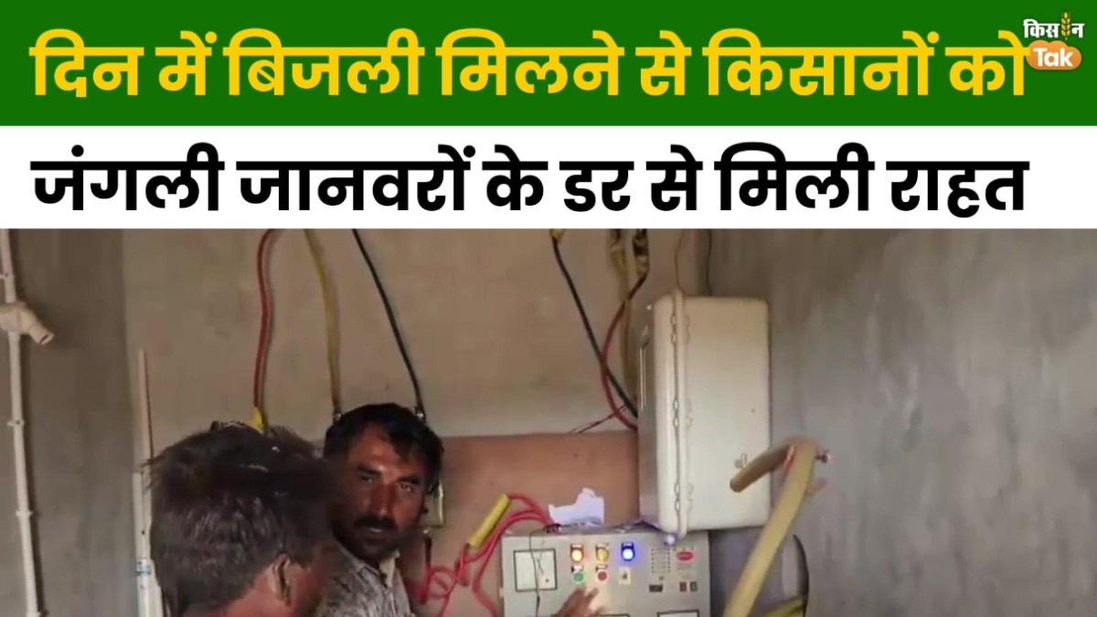 किसान सूर्योदय योजना से बदली खेती की तस्वीर, अब दिन में 8-10 घंटे बिजली, दोगुना हुआ काम
