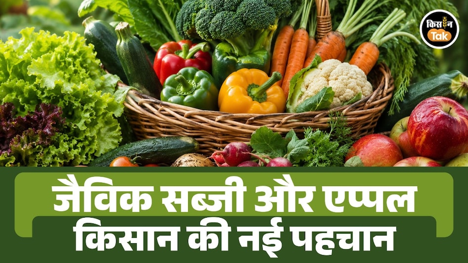 जैविक खेती से बदली किसान की तकदीर: सब्जियों से लाखों की कमाई, एप्पल की खेती से बनाई नई पहचान जैविक खेती से बदली किसान की तकदीर: सब्जियों से लाखों की कमाई, एप्पल की खेती से बनाई नई पहचान